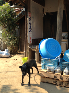 image-20130813151146.png